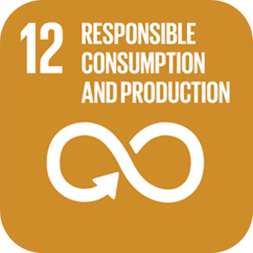SDG 12 SDG 12