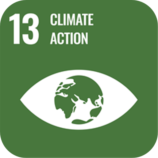 SDG 13 SDG 13