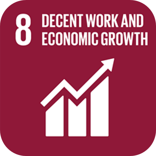 SDG 8 SDG 8